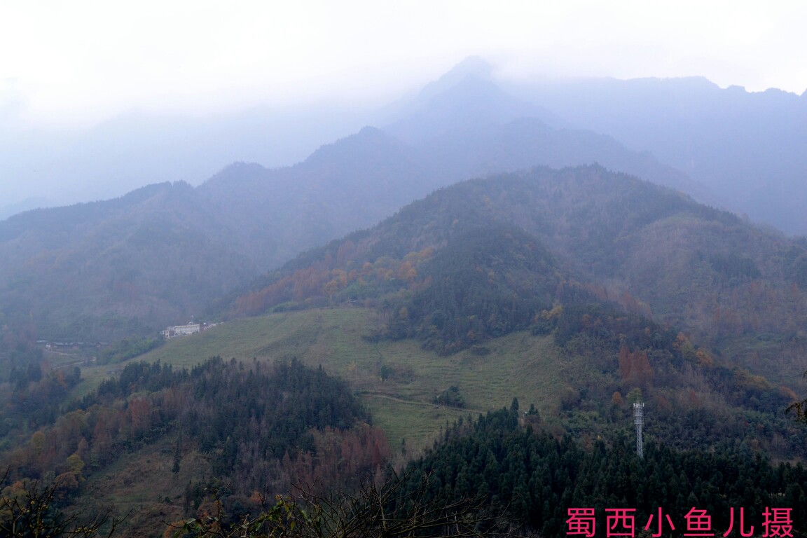DSC_0082-01.jpeg