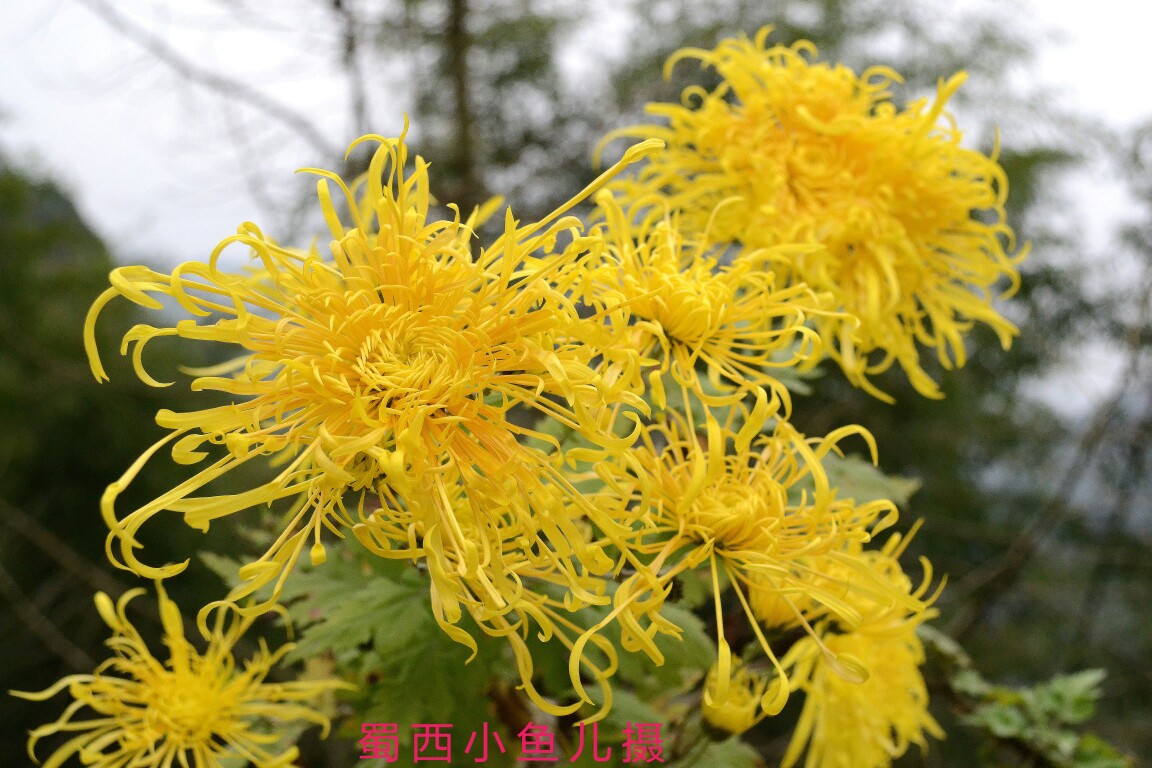 DSC_0124-01.jpeg