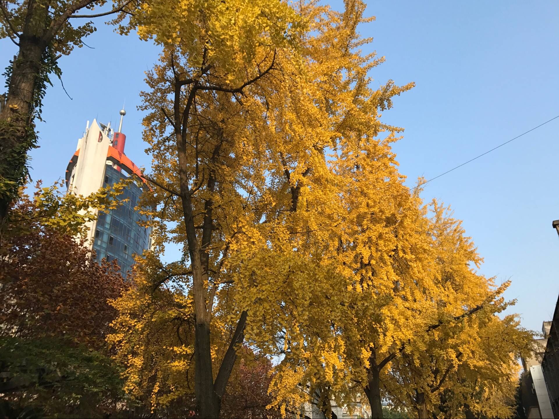 QQͼƬ20181203095131.jpg