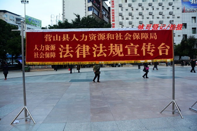 DSC_4437.JPG