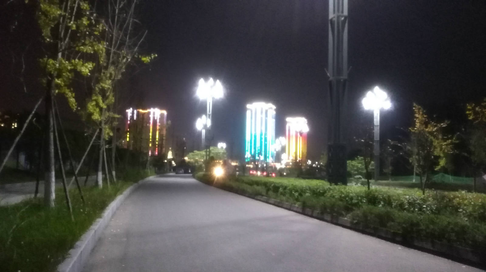 340.jpg