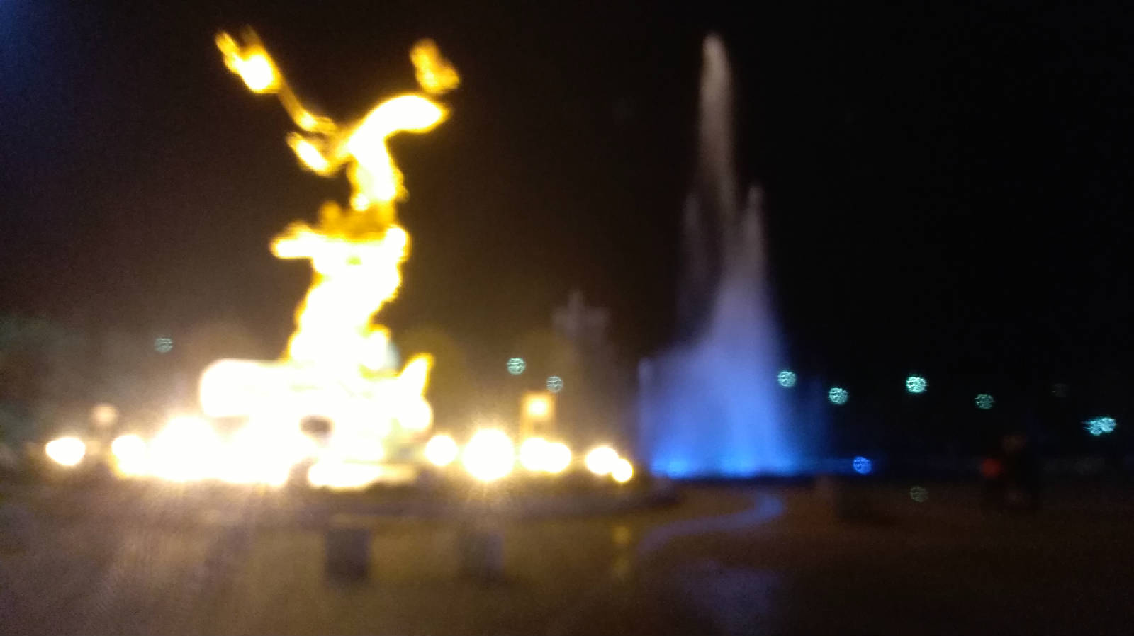359.jpg