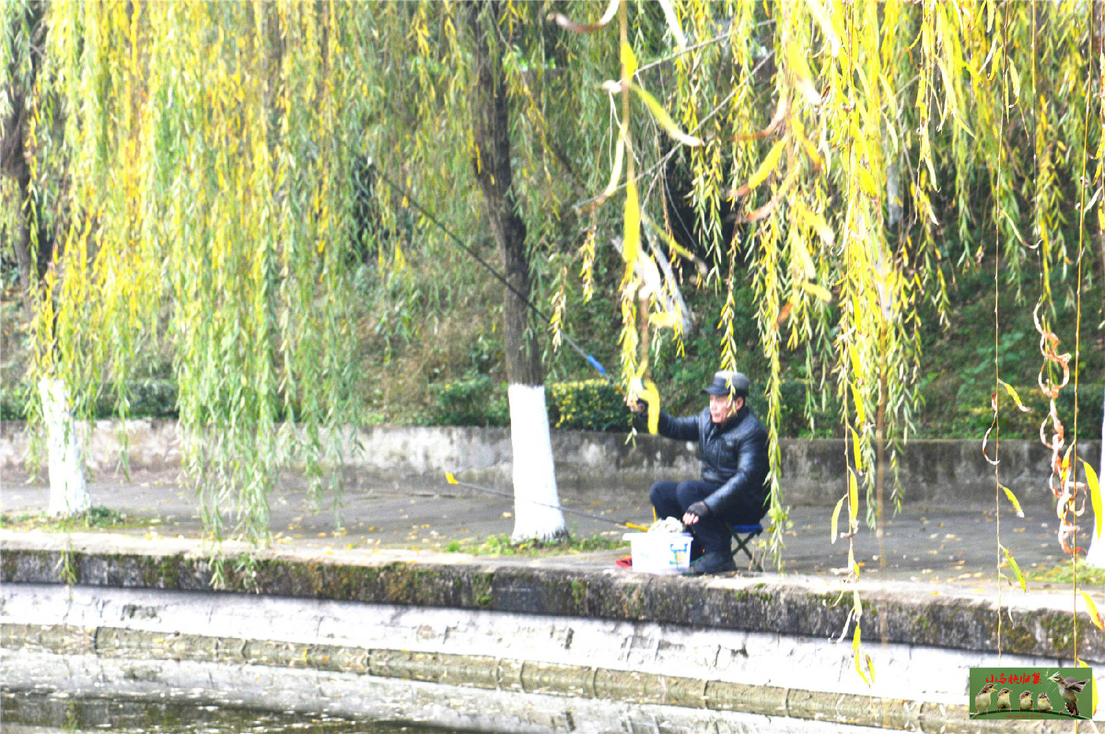DSC_0046.JPG
