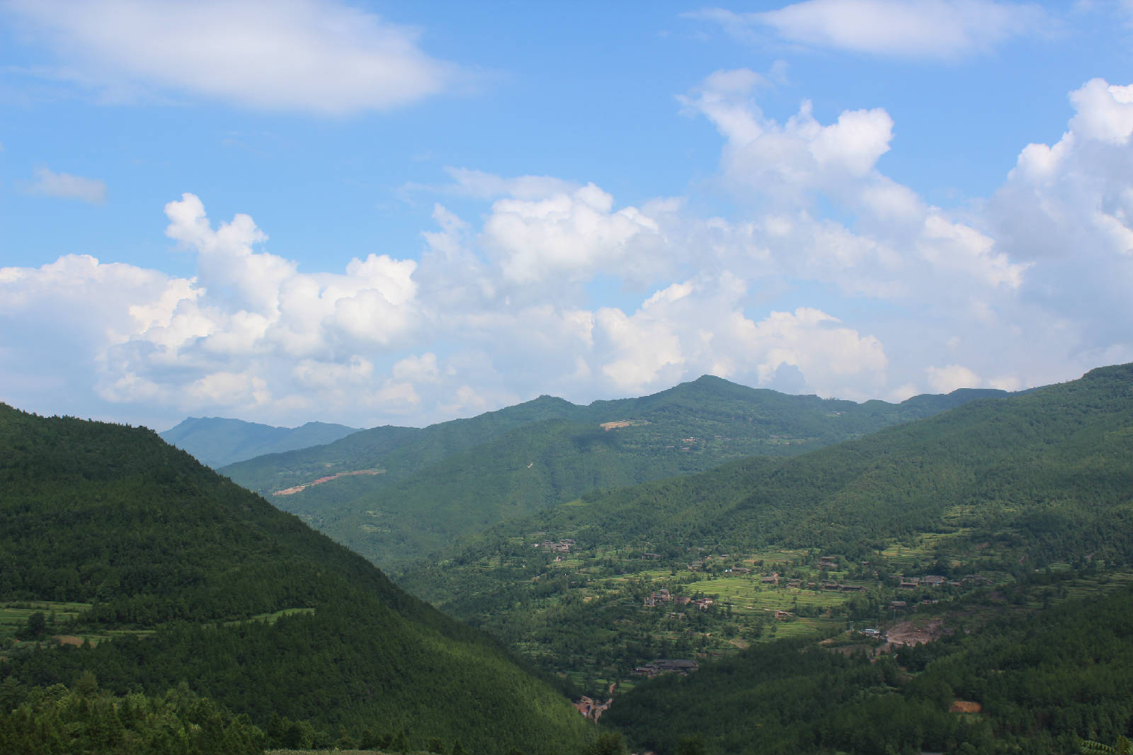 IMG_4252.JPG