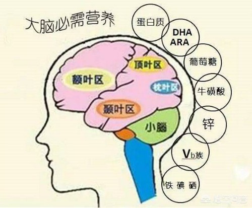 bb42a01b0a1d0a93bdbc57908b1bff71.jpg