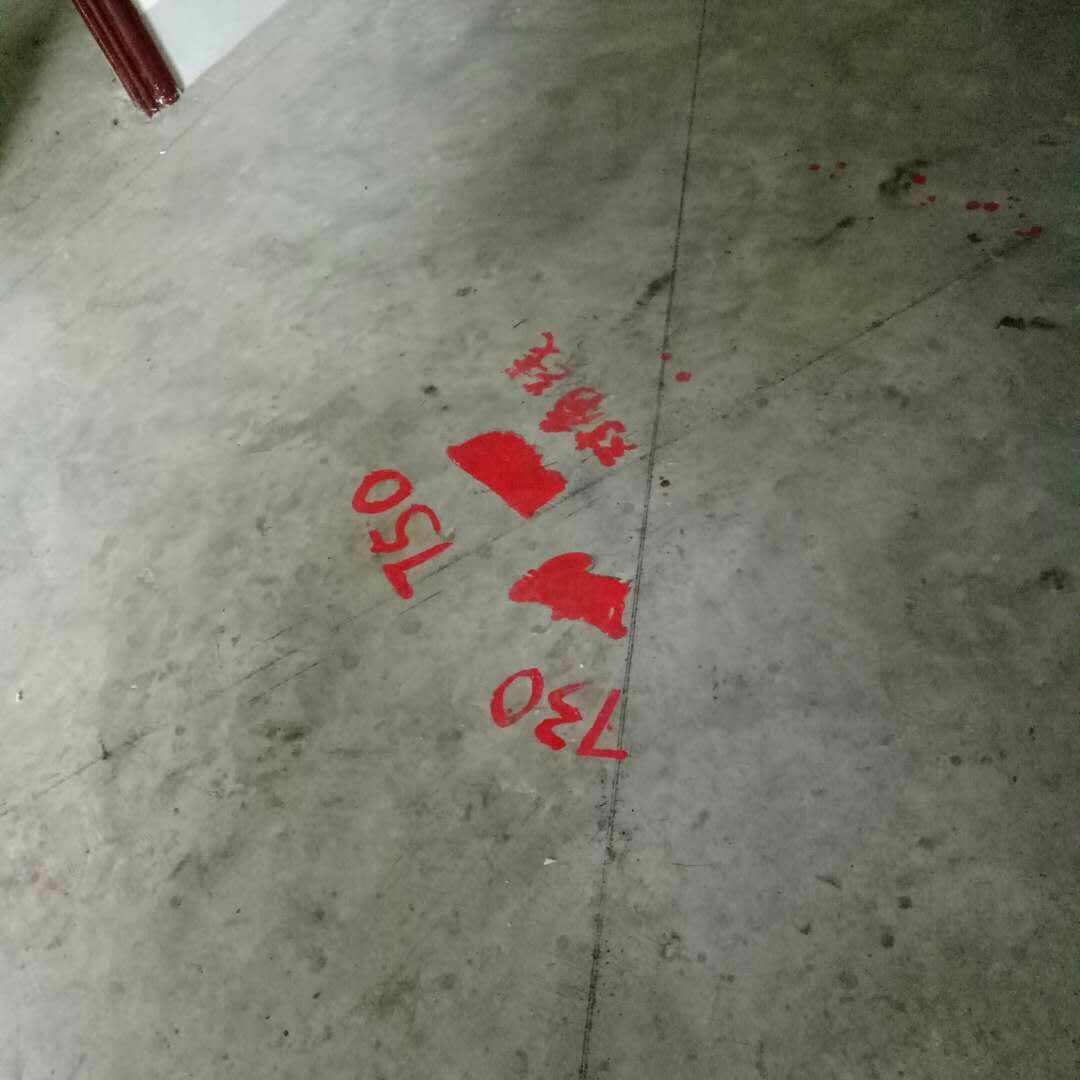 20181219_7494871_1545226009095.jpg