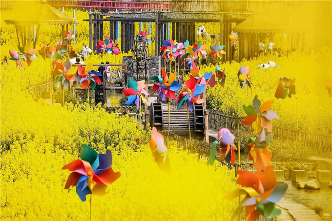花海3.jpg