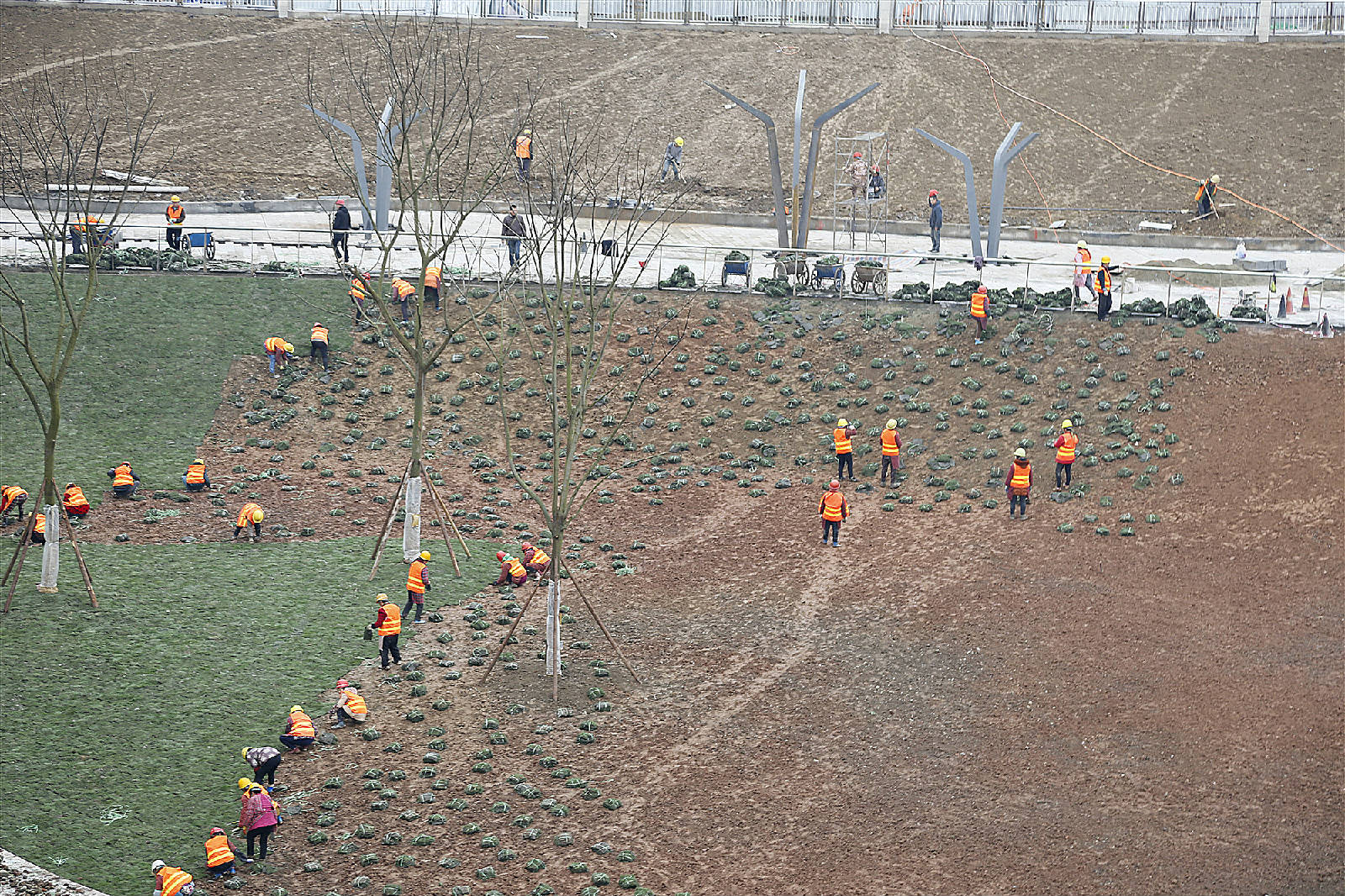 _MG_0031_副本.jpg