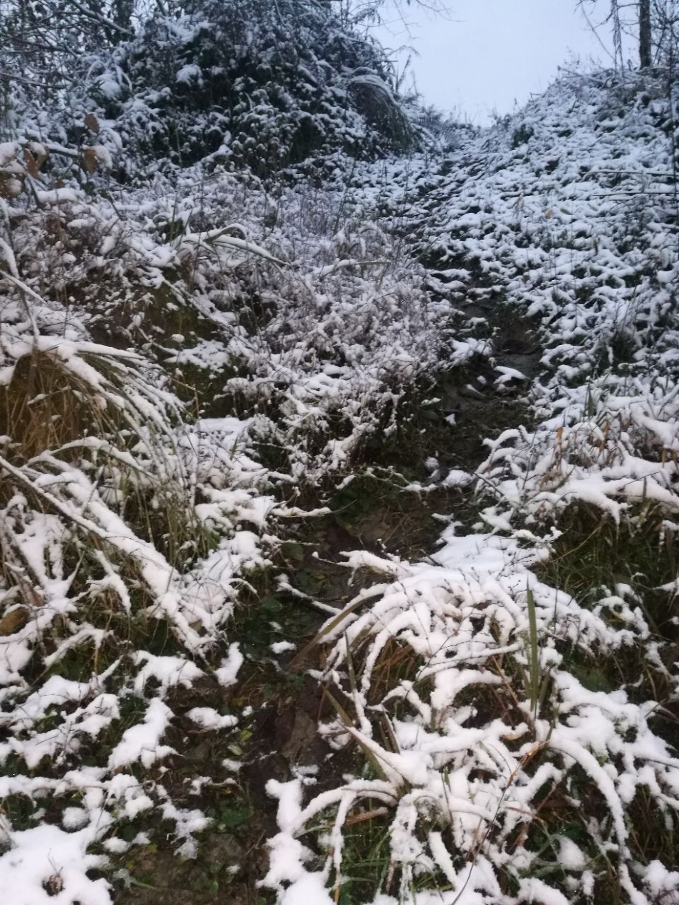 20181229_7512149_1546041979596.jpg