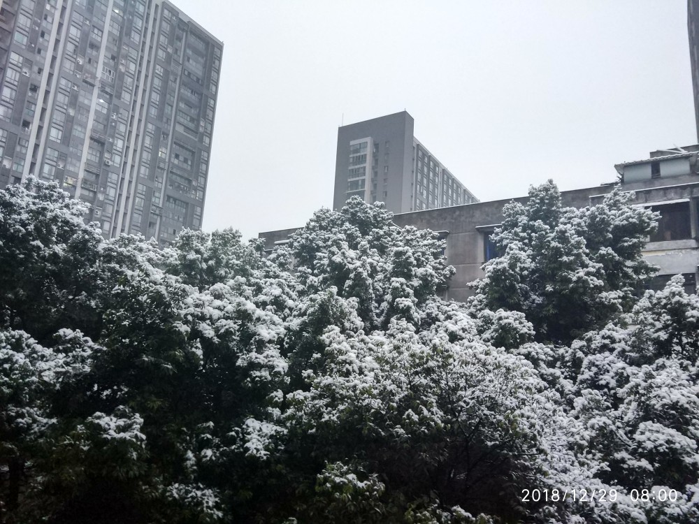 IMG_20181229_080018_HDR.jpg