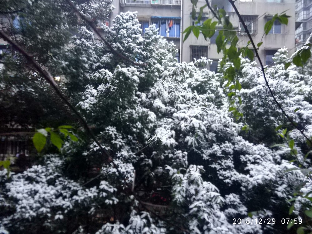 IMG_20181229_075933_HDR.jpg