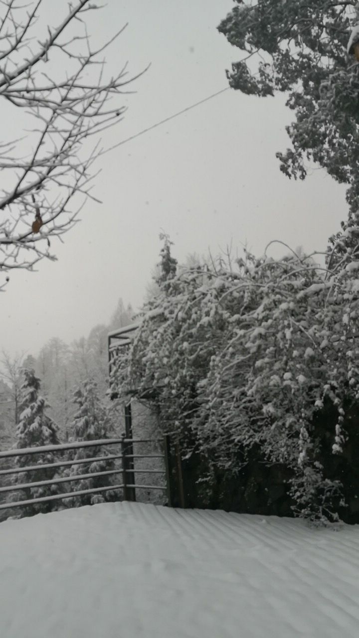 20181229_7461657_1546048240977.jpg