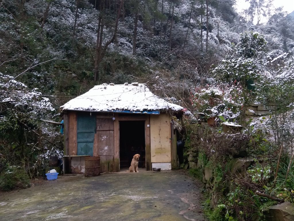 20181230_100735_.jpg