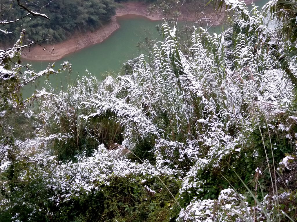 20181230_104007_.jpg