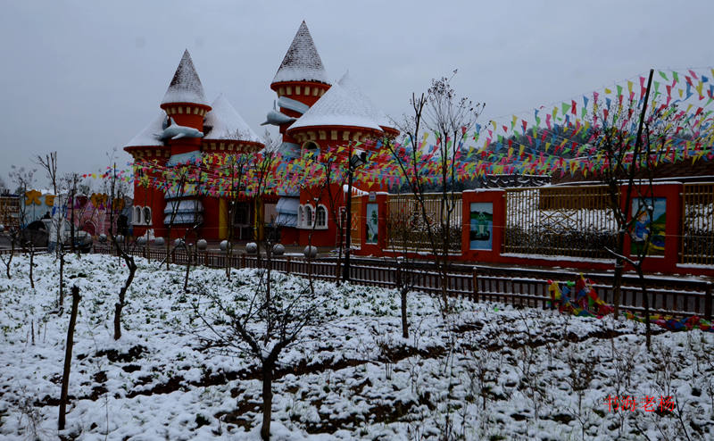 DSC_6878.JPG