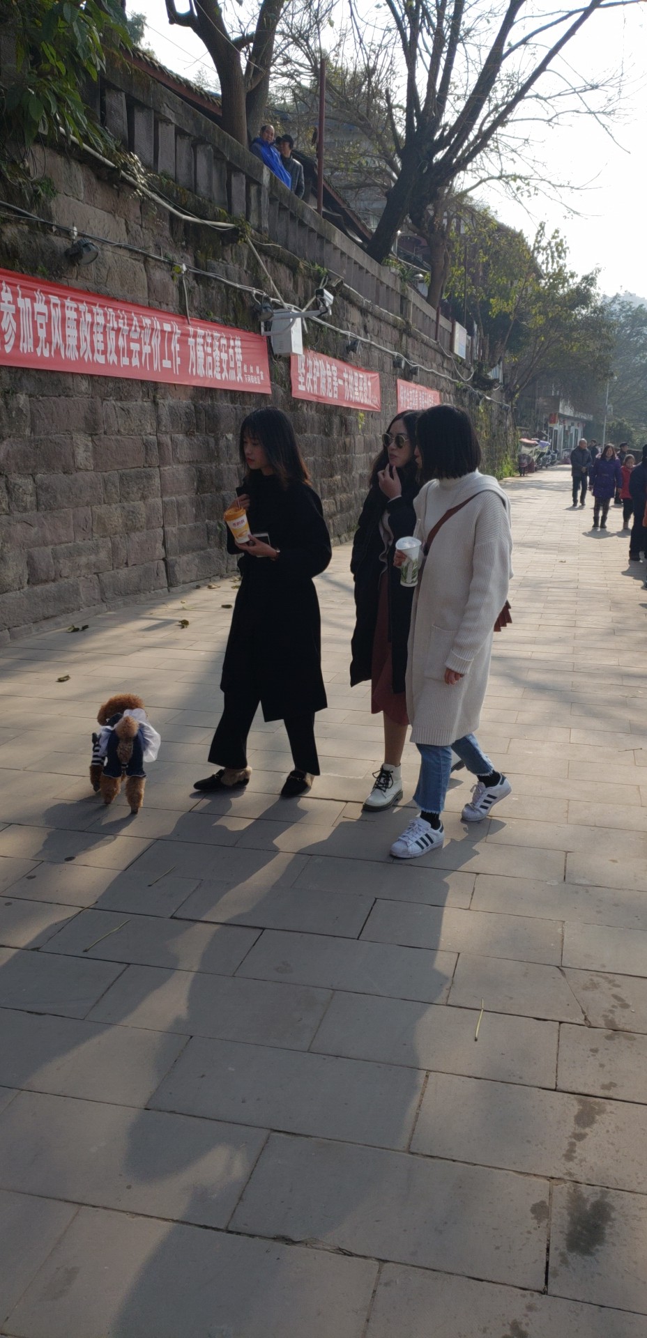 微信图片_20190105143904.jpg
