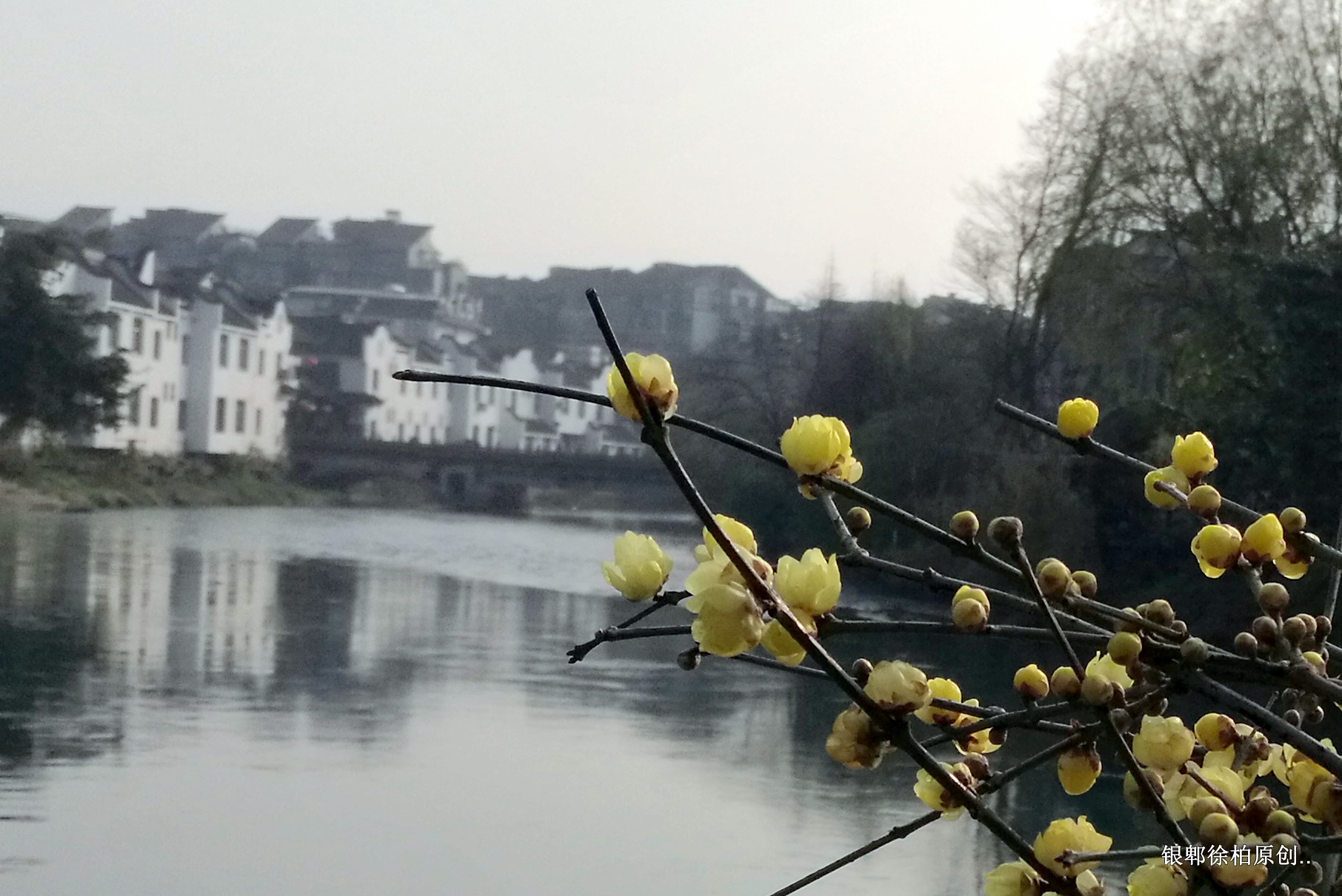 1-IMG_20190105_100643.jpg