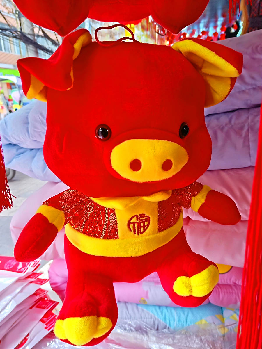IMG20190108150247_看图