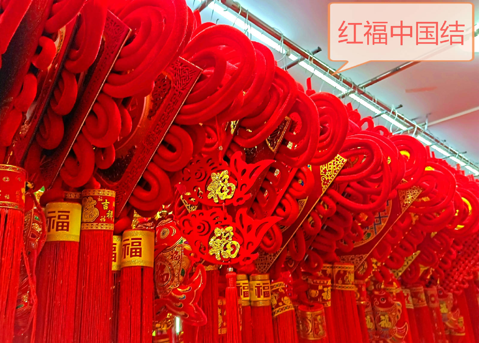 IMG20190108150532_看图