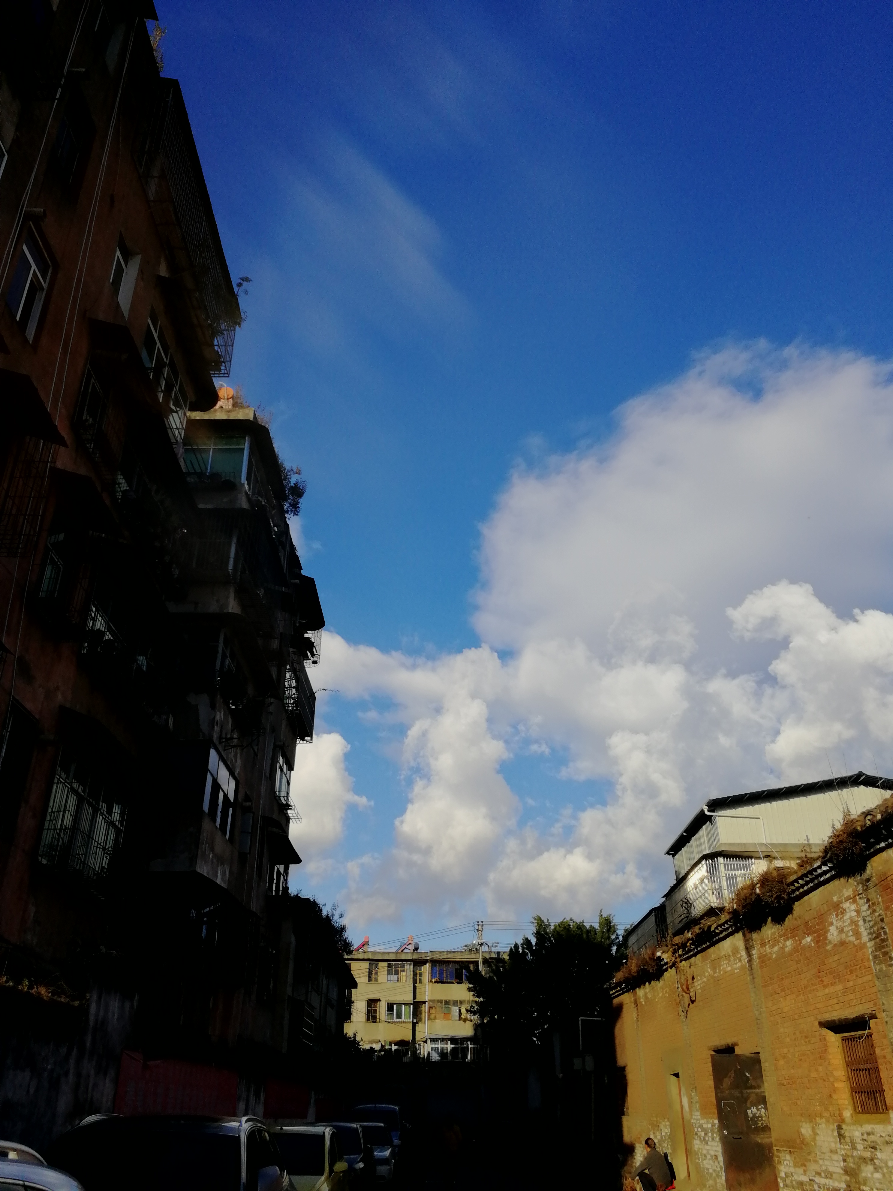 IMG_20190109_091353.jpg
