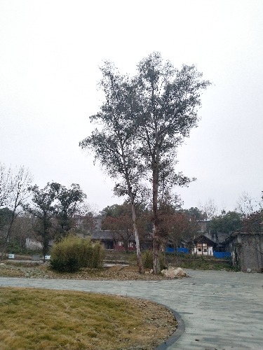 IMG_20190115_181040.jpg