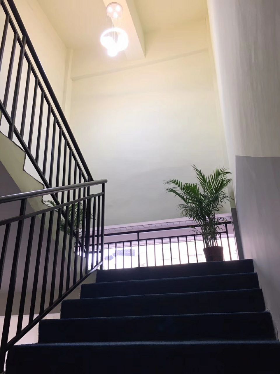 20190116_1348414_1547606166070.jpg