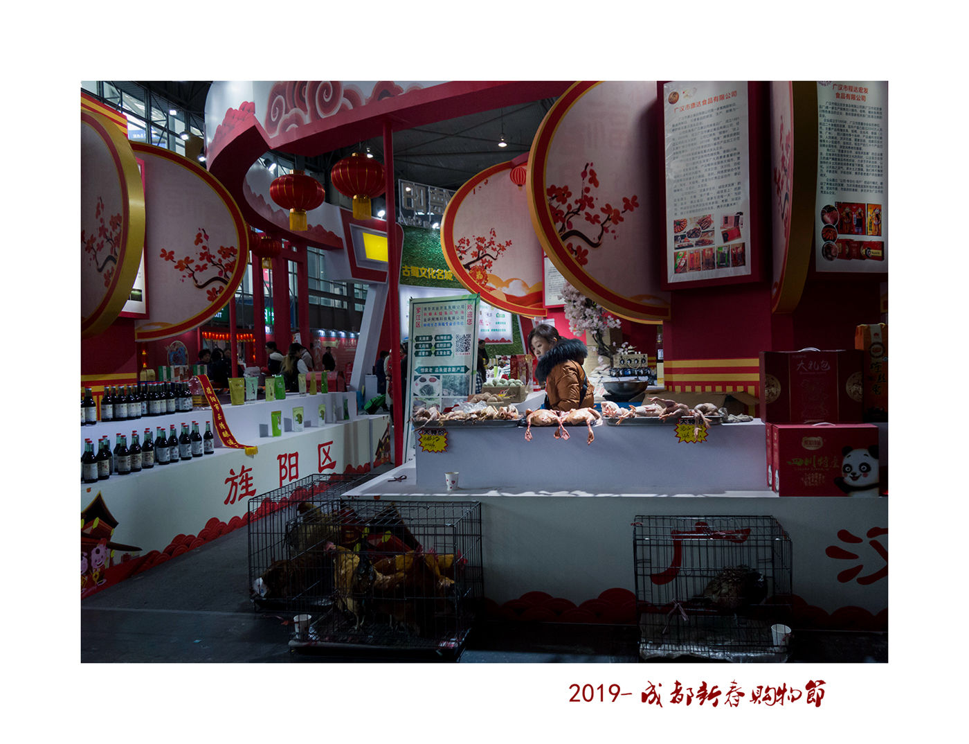 DSC03959ab_.jpg