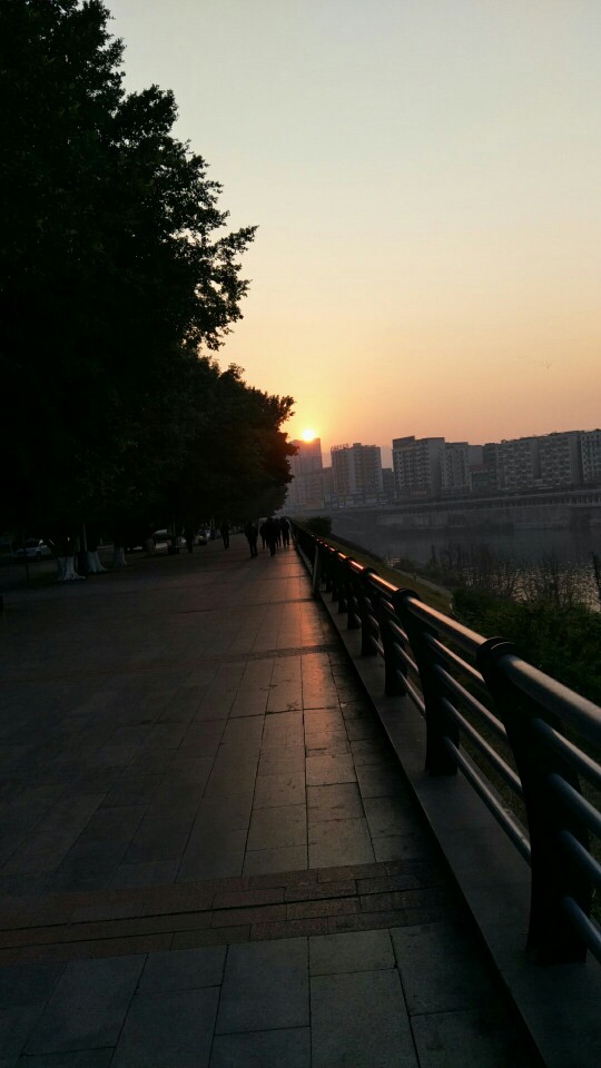 wx_camera_1548202775997.jpg