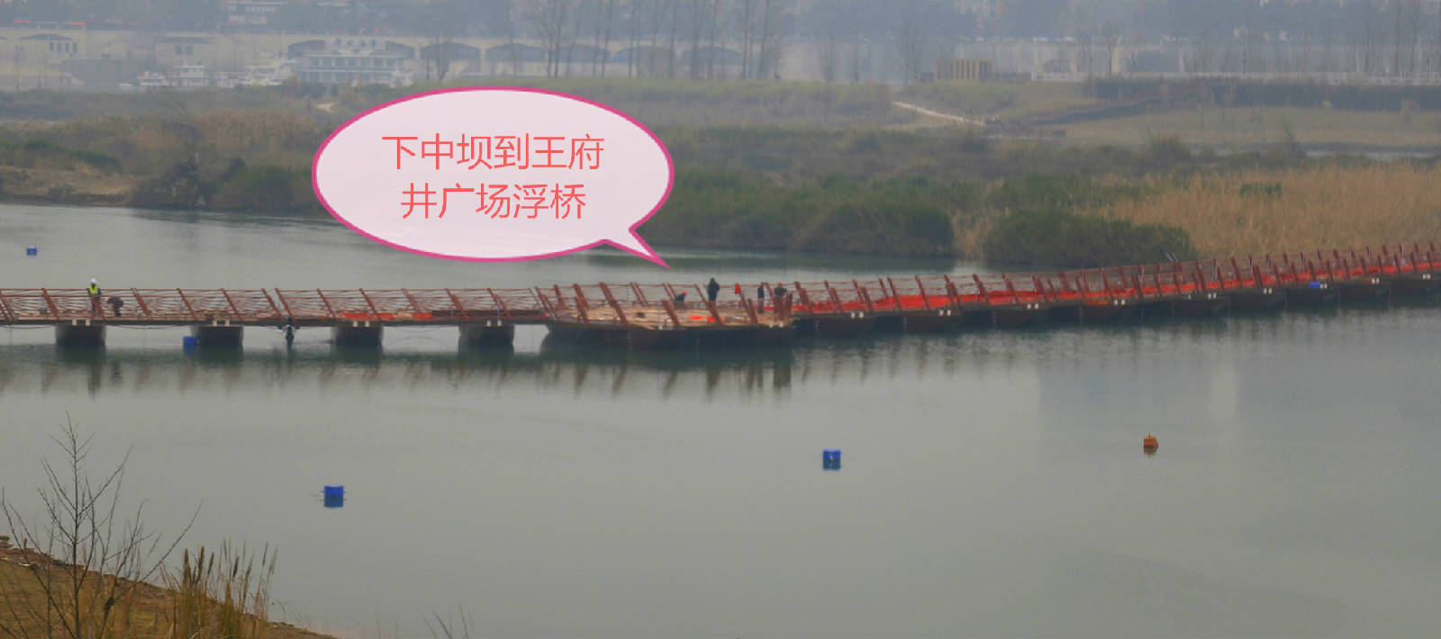 _MG_0030_看图