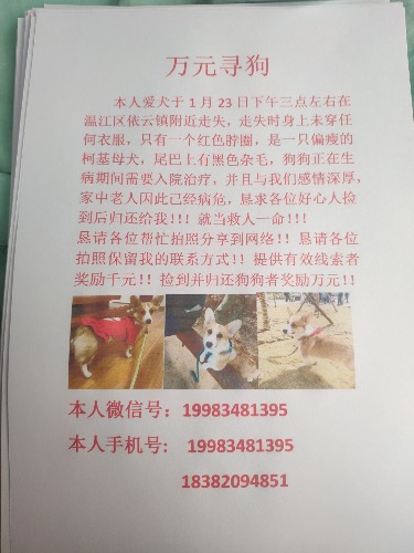 DC1EBF0D-ABB6-4A4E-87FF-38186DFA5FB9.jpeg