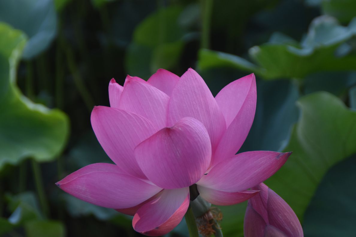 DSC_5505_副本.jpg