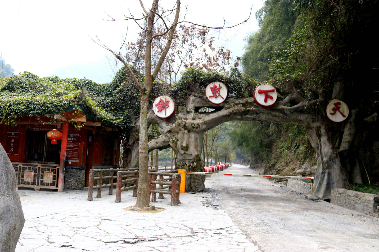 IMG_1764_副本.jpg
