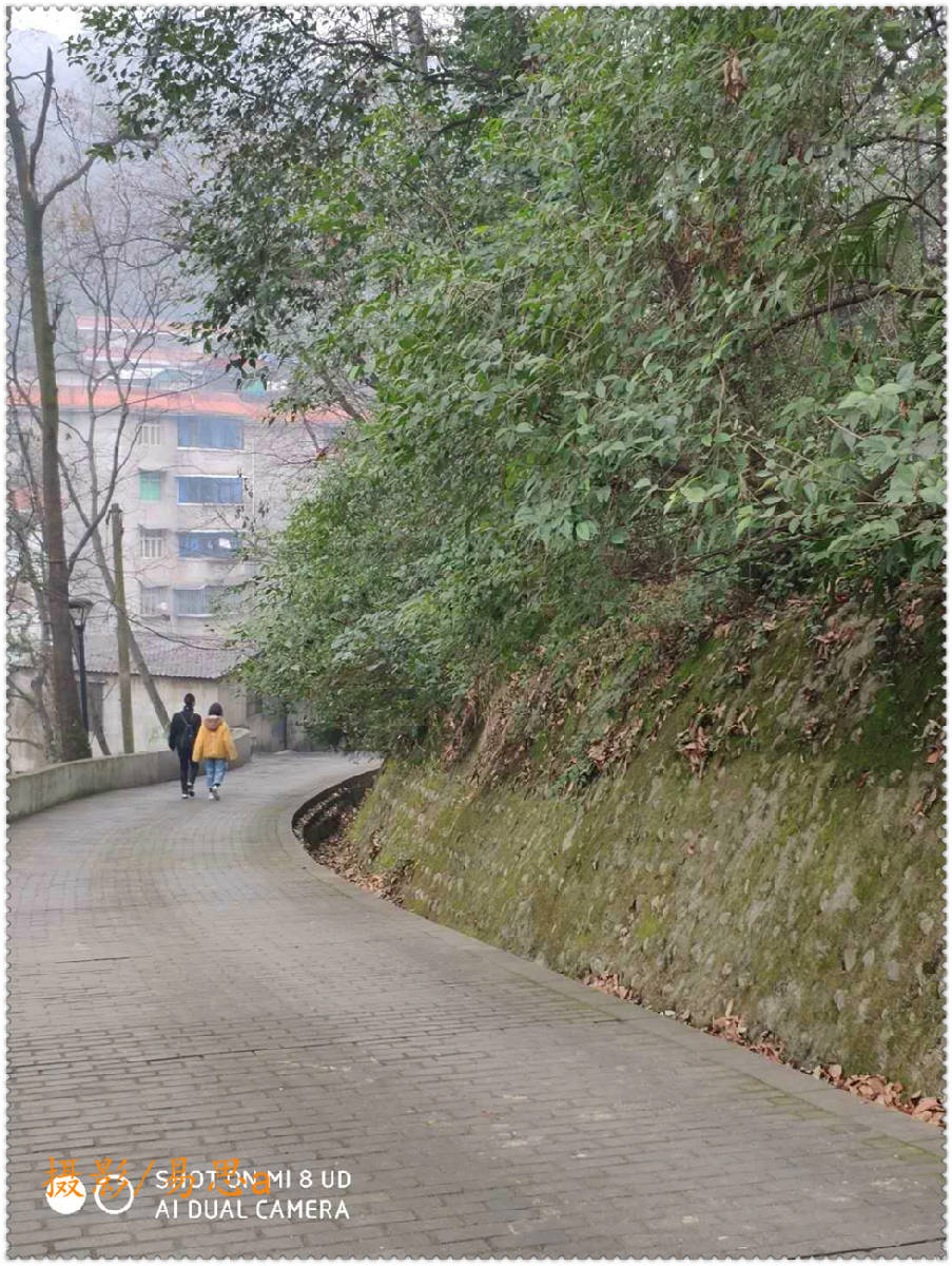 微信图片_20190131164043.jpg