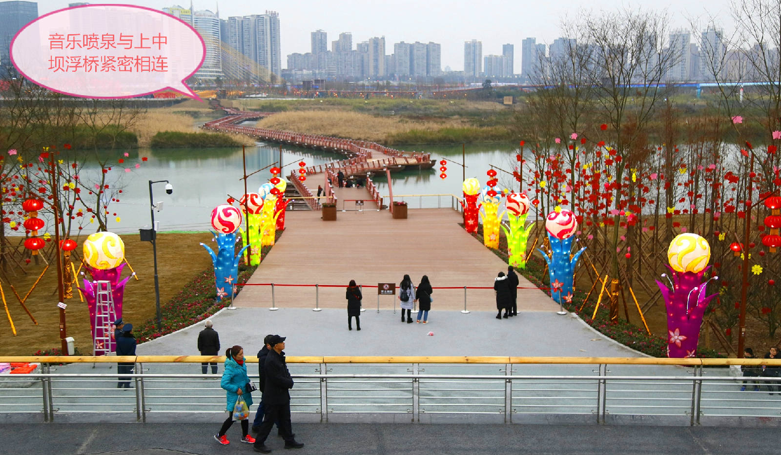 _MG_0058_看图