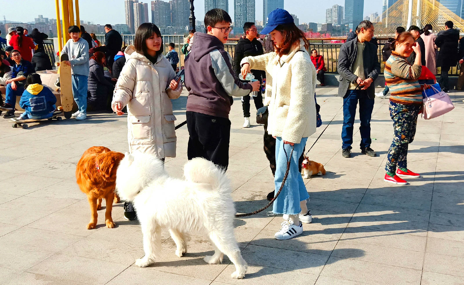 IMG20190203152043_看图