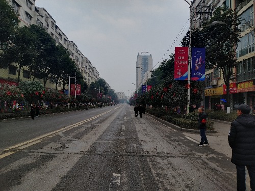 IMG_20190205_091316.jpg