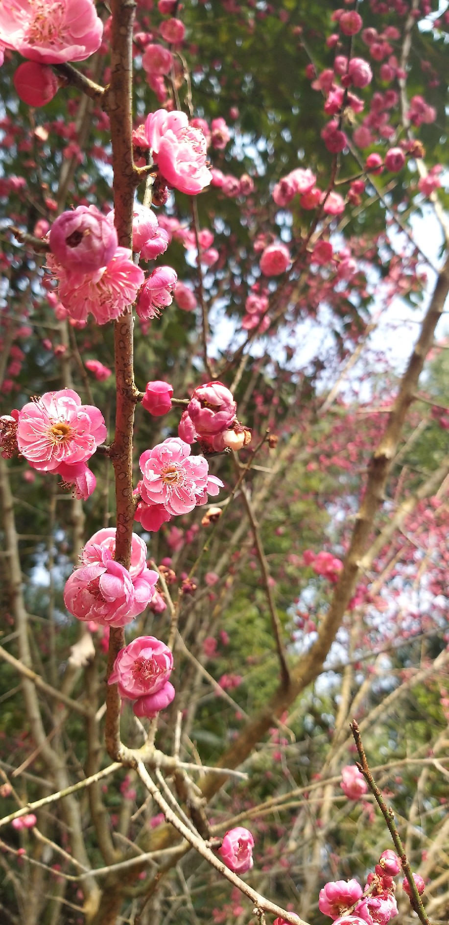 20190205_134846.jpg
