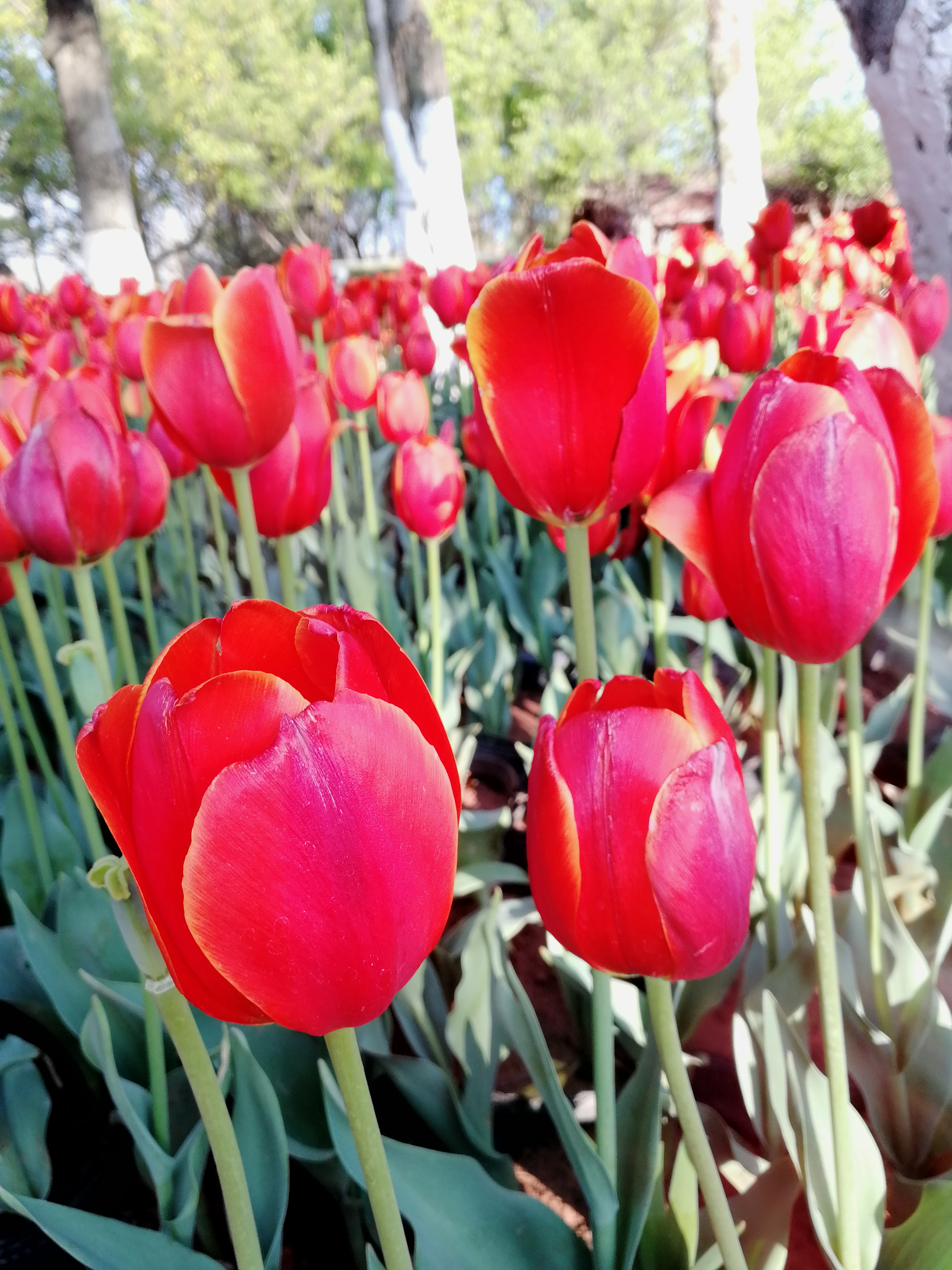 IMG_20190210_091037.jpg