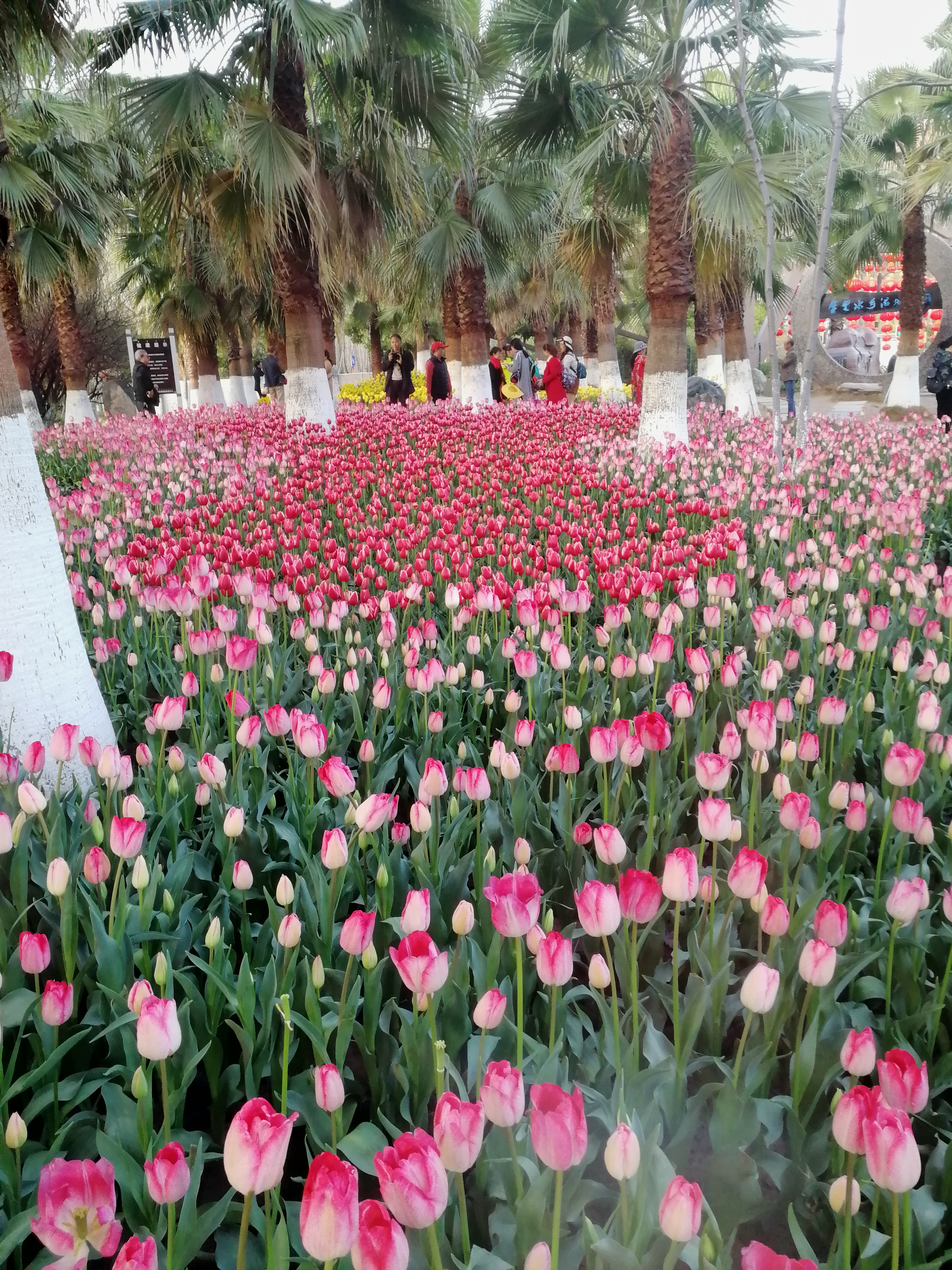 IMG_20190210_081455.jpg