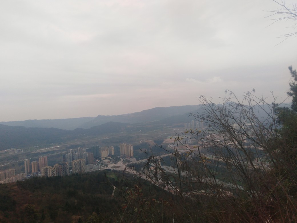 IMG_20190214_151239.jpg