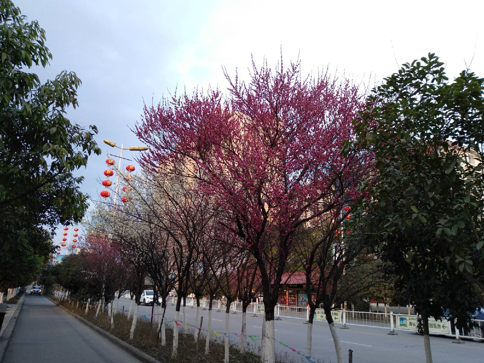 微信图片_2019021416090610.jpg