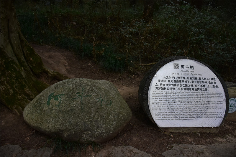 XYL_5239.jpg