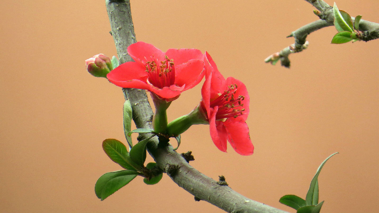 IMG_3983_副本.jpg