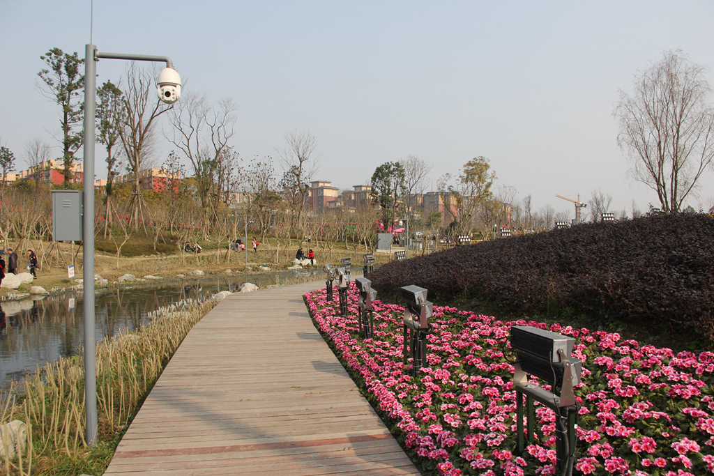 美麗四川系列圖片之六十四成都天府芙蓉園三