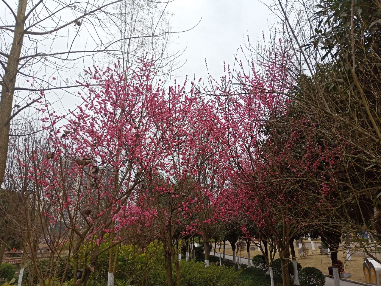 20190216_7461717_1550310580342.jpg
