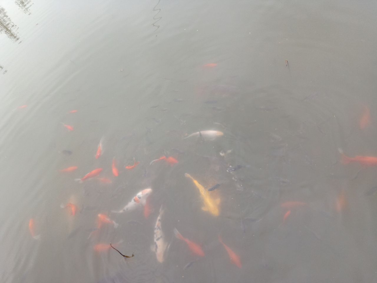 20190216_7461717_1550310701161.jpg