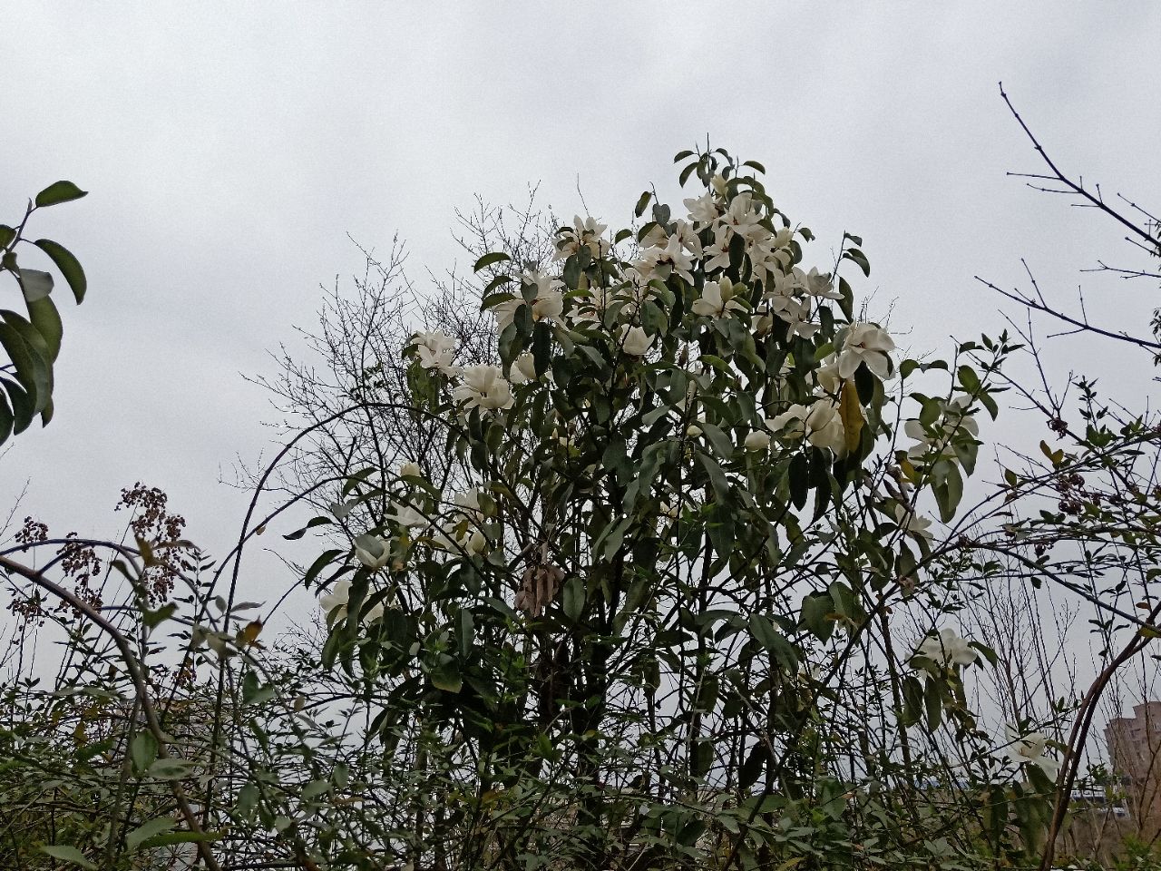 20190216_7461717_1550310789808.jpg