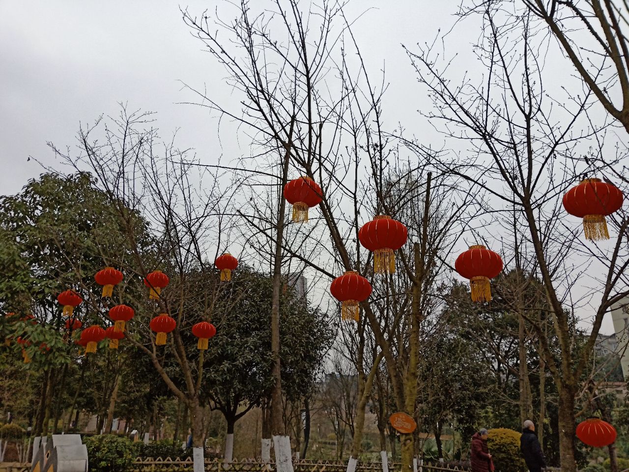 20190216_7461717_1550311295984.jpg