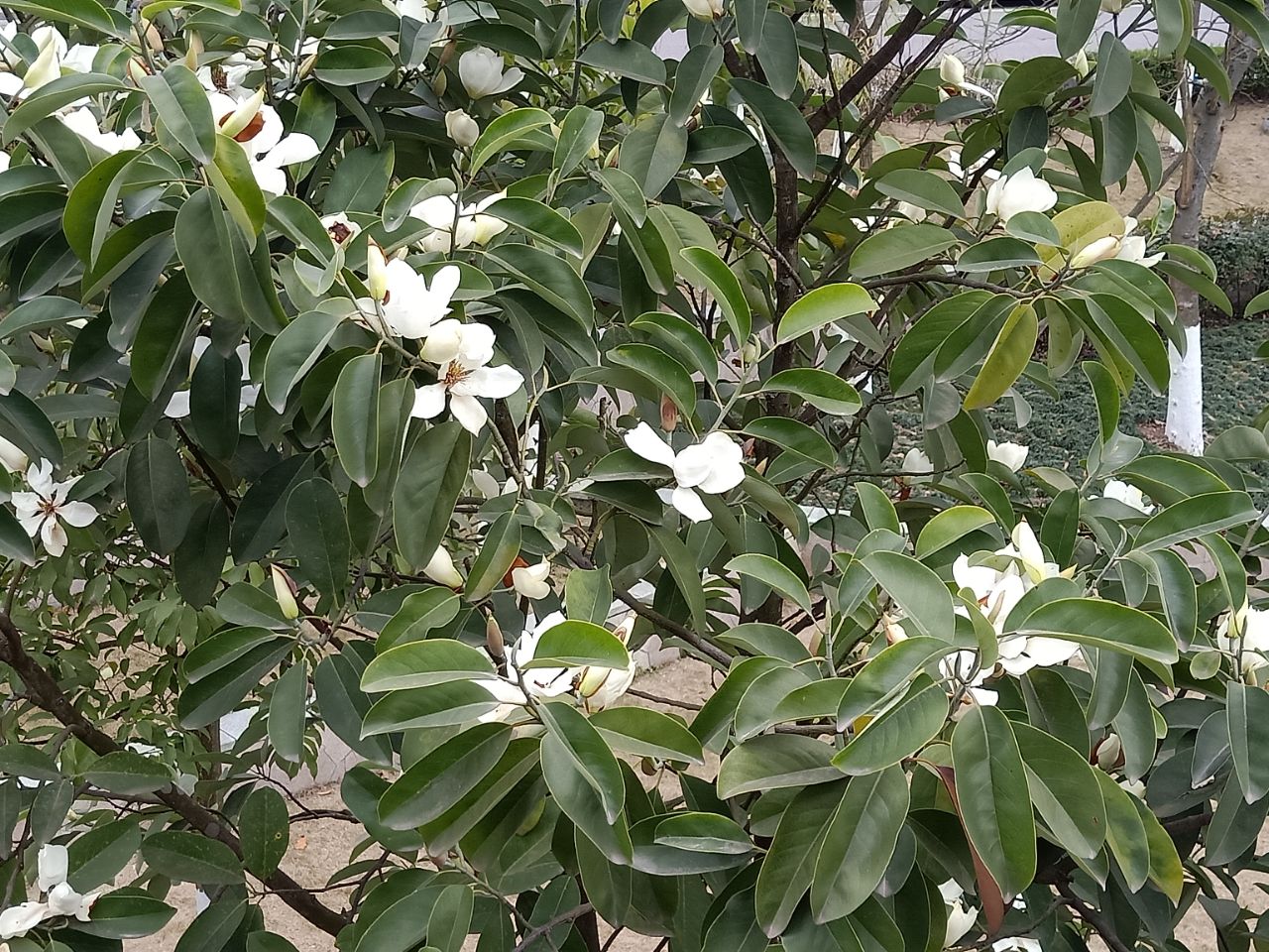 20190217_7461717_1550417973955.jpg