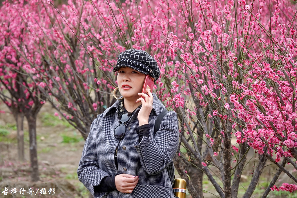 大观问花村赏